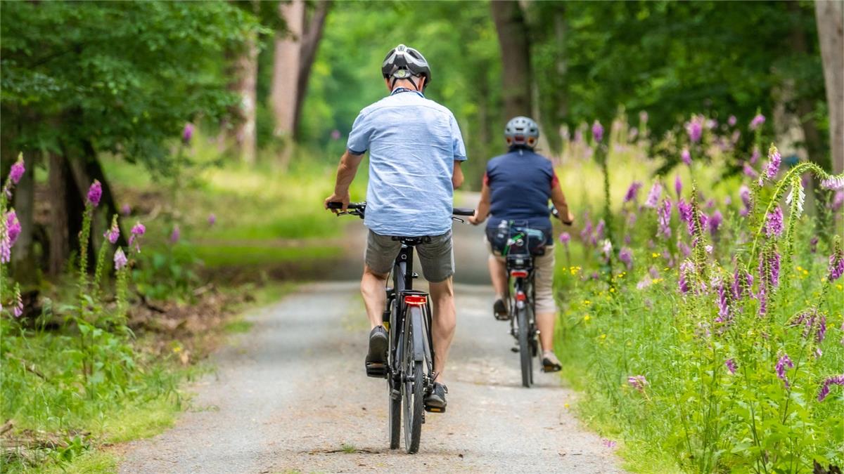 2 fietsroutes rond Kalmthout die je niet mag missen